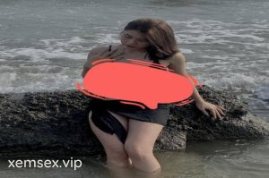 Cảnh quay của Phương Anh 2k6 làm tình với bạn trai của cô ấy đã được công bố